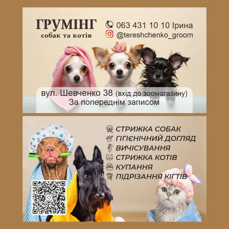Візитки